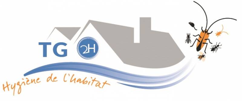 Entreprise de traitements anti-termites sur Libourne TG2H Médoc